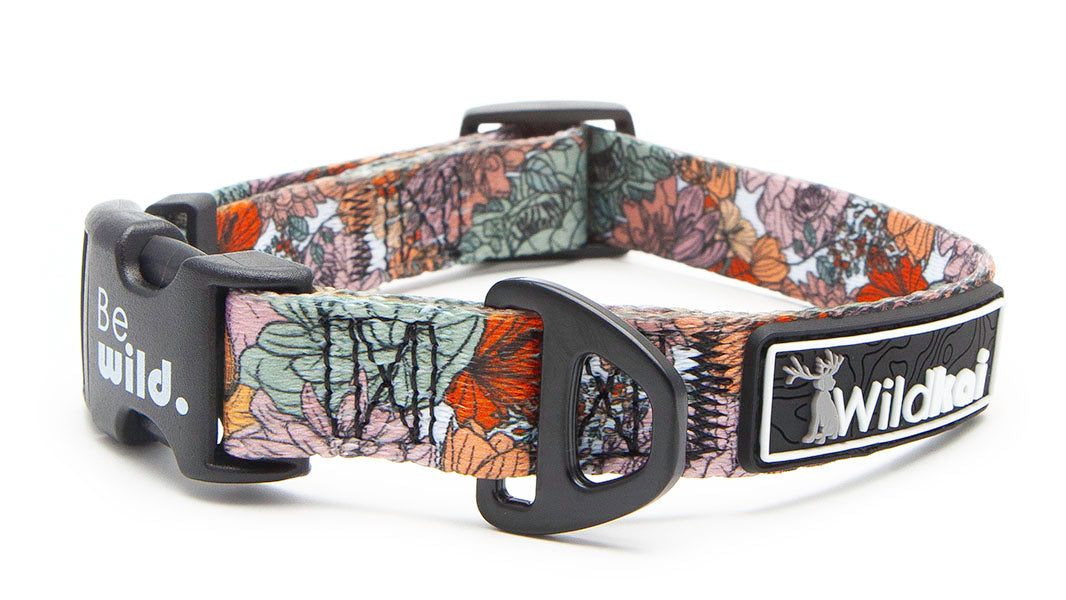 Boho Spring Collar