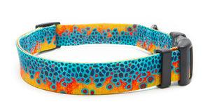 Brookie T. Collar