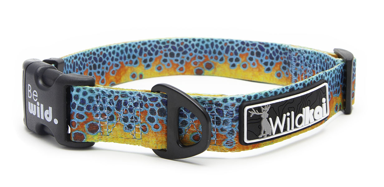 Brookie T. Collar