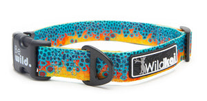 Brookie T. Collar