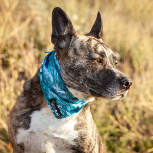 Mountain Dream All Season Adventure Bandana
