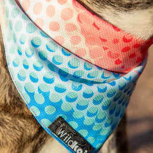 Neon Machine All Season Adventure Bandana