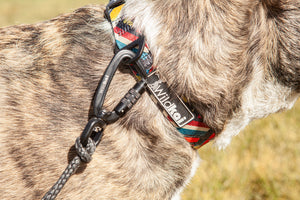 Kipharold Hands Free Leash
