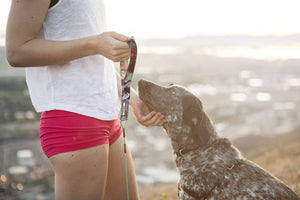 Minimus Adventure Leash