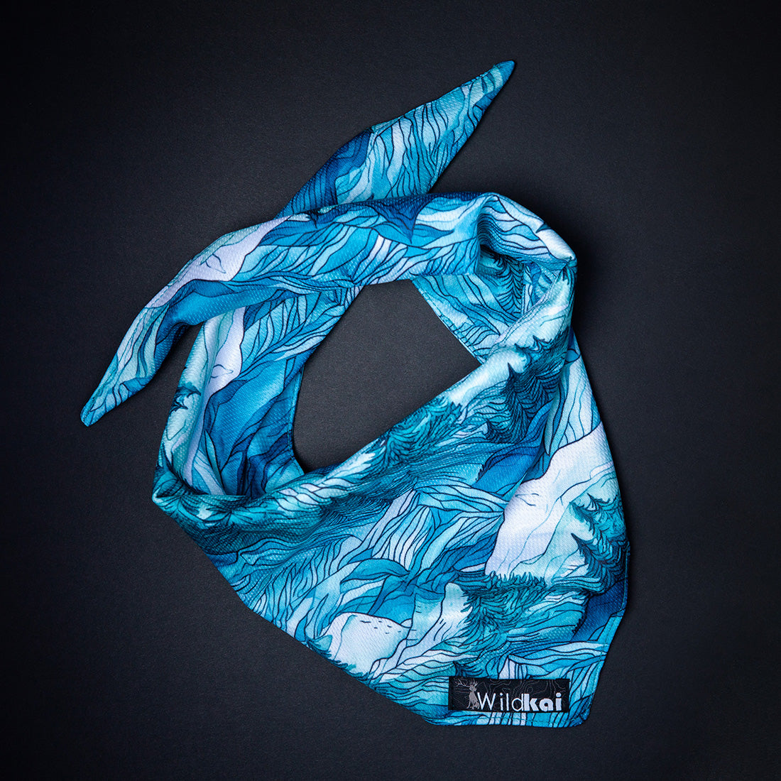 Mountain Dream All Season Adventure Bandana
