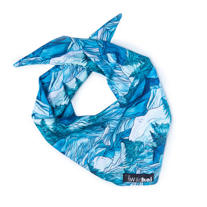 Mountain Dream All Season Adventure Bandana