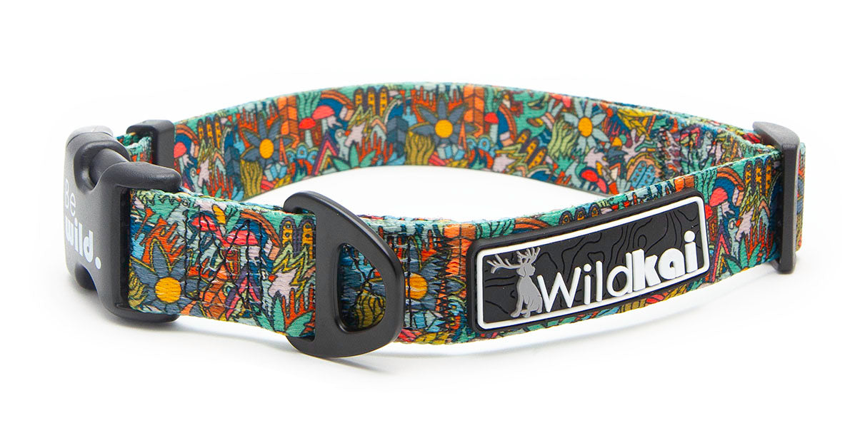 Trippy Bird Collar